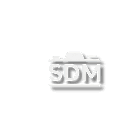 SDM Logo